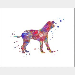 Boerboel dog Posters and Art